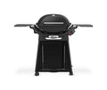 [DE] Barbecue à gaz Weber Q3200N+ avec chariot